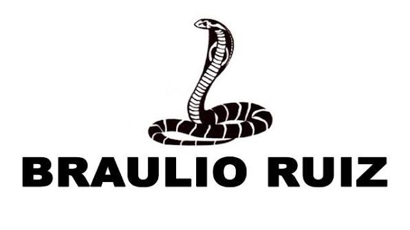 Braulio Braulio